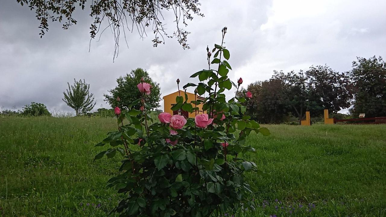 Villa Casa Rural Camino Del Alentejo La Codosera Exterior foto