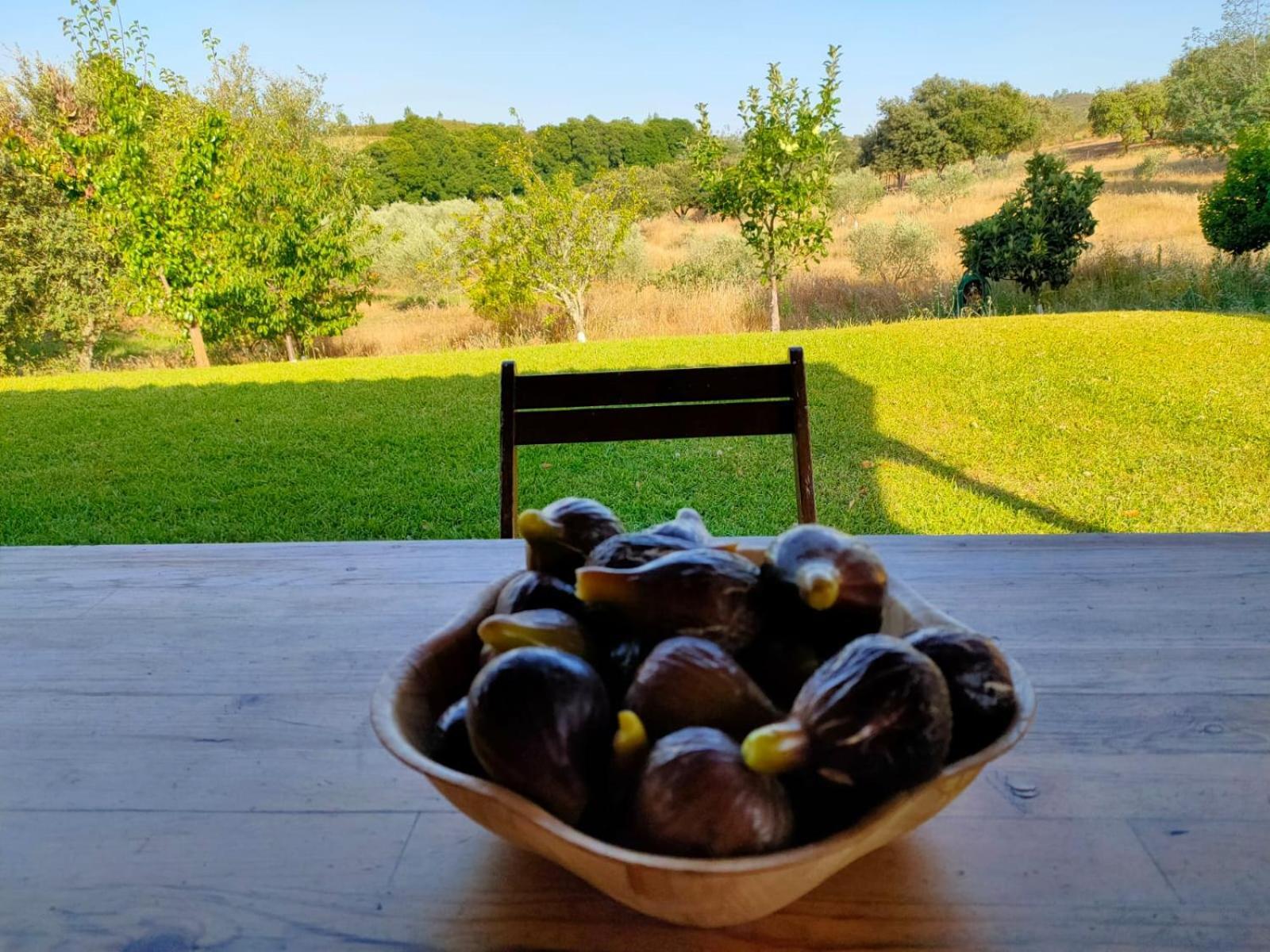 Villa Casa Rural Camino Del Alentejo La Codosera Zimmer foto